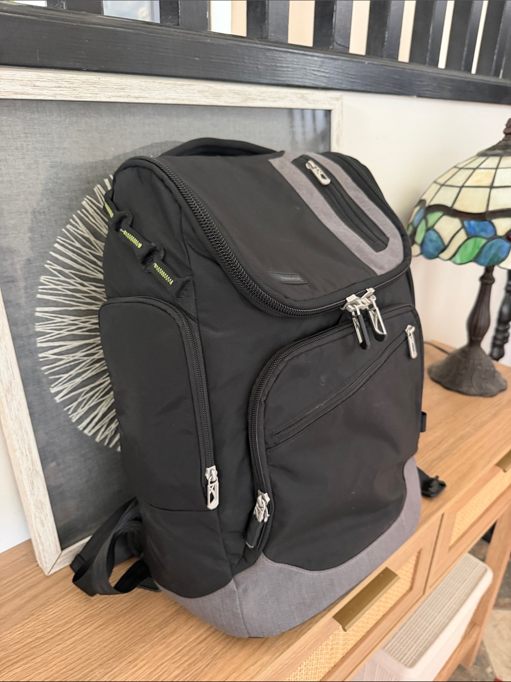 Briggs & Riley BRX Excursion Backpack - Picture 3 of 10